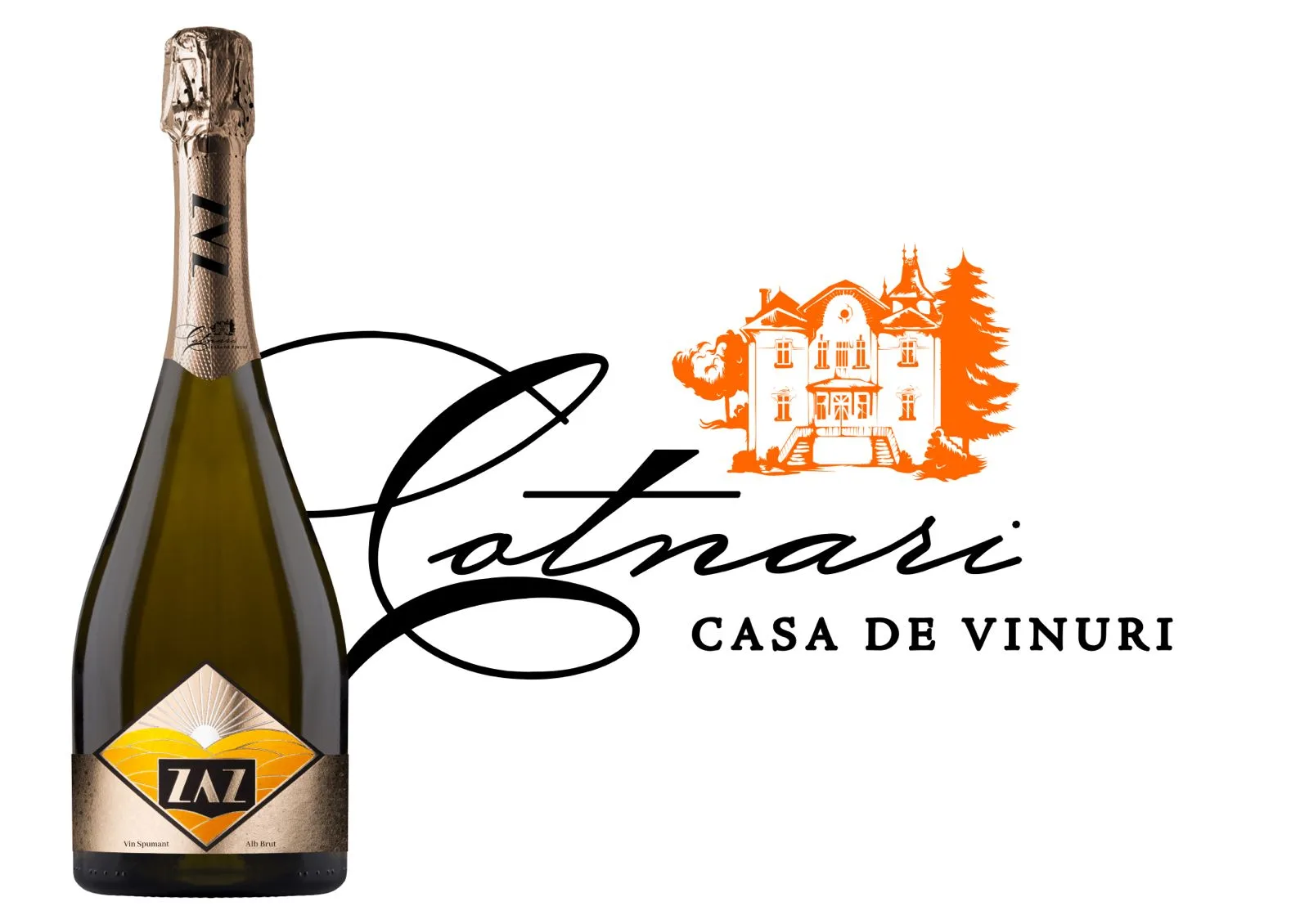 WhatsApp Image 2026-02-19 at 15.50.25